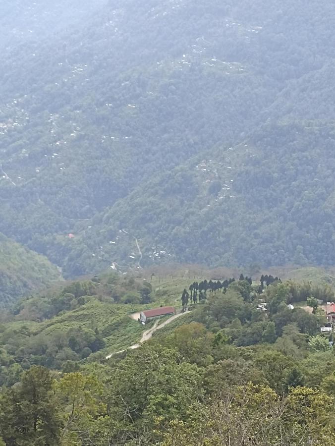 Bastola Stay Дарджилинг Экстерьер фото